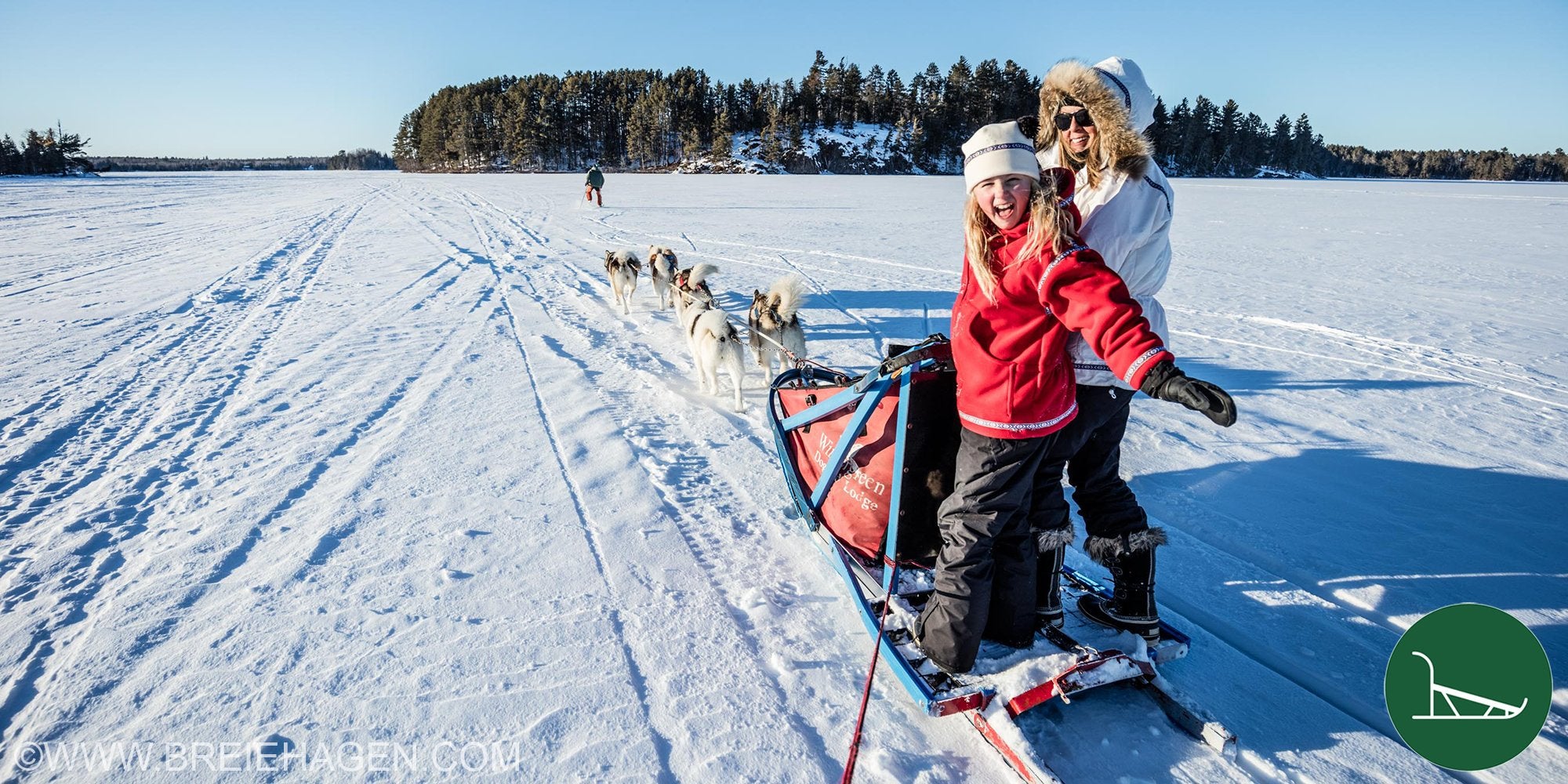 Dogsledding Collection banner